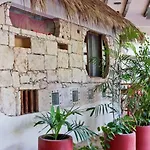 One Bedroom Apt In The Heart Of Playa Only One Block To The Beach!