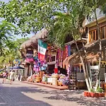 One Bedroom Apt In The Heart Of Playa Only One Block To The Beach!