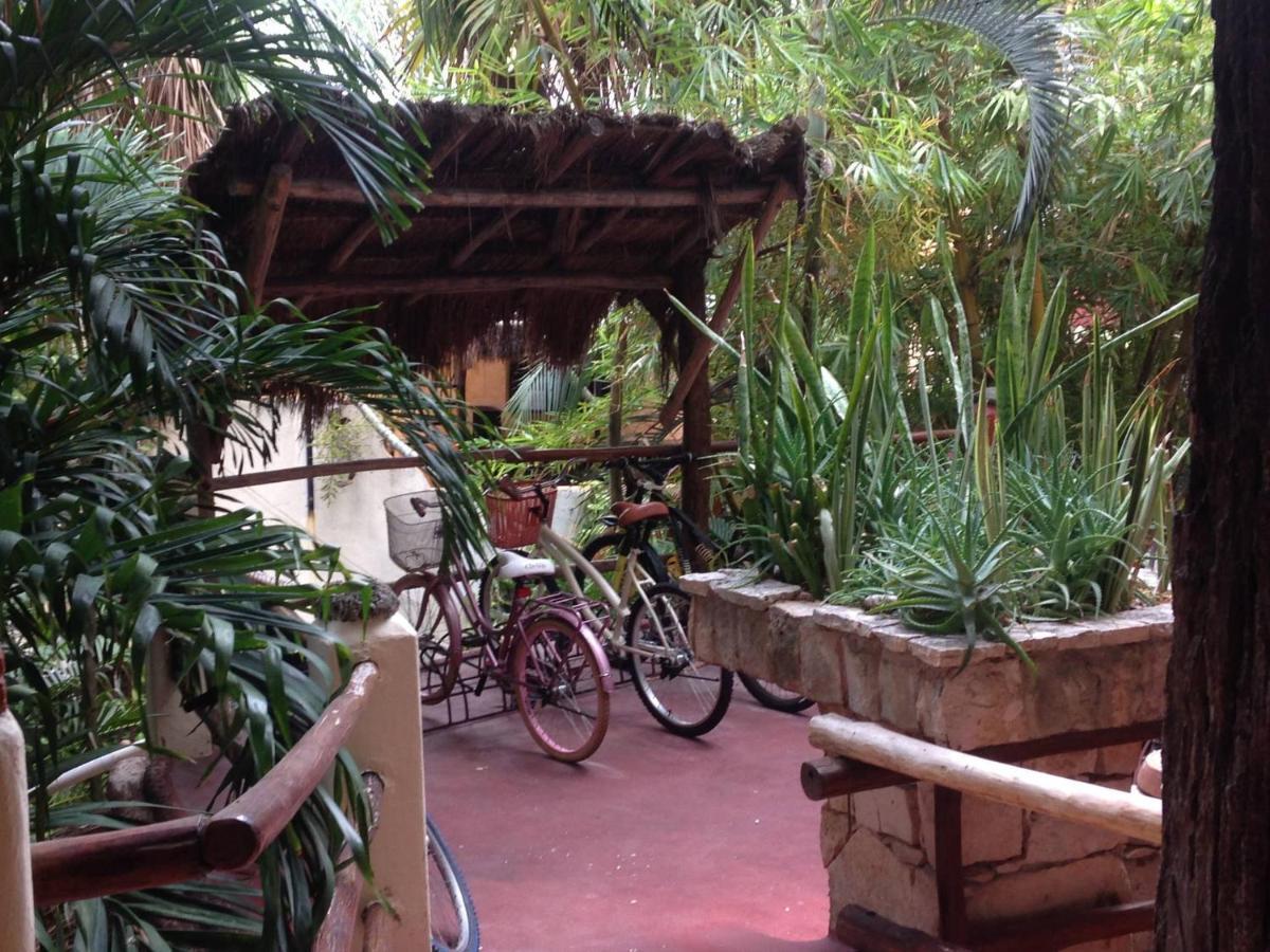 One Bedroom In The Heart Of Playa Only One Block To The Beach! Apartamento *